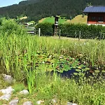 Fruhstuckspension Pachler Gosau