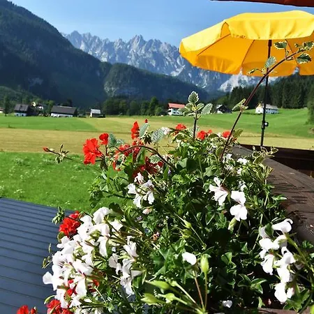 Guest house Fruhstuckspension Pachler 2*