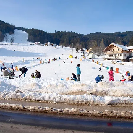 Fruehstueckspension Pachler Gæstehus Gosau