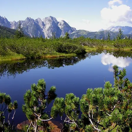 Fruehstueckspension Pachler 2*