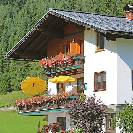 Guest house Fruhstuckspension Pachler 2*