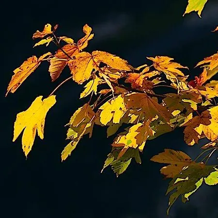 帕克勒早餐膳宿酒店 2*