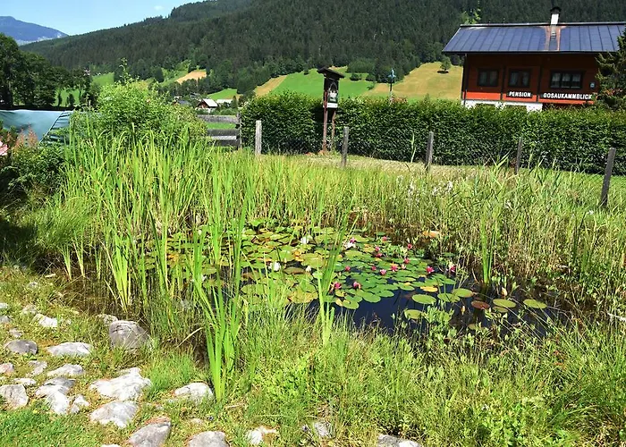 Fruhstuckspension Pachler Gosau