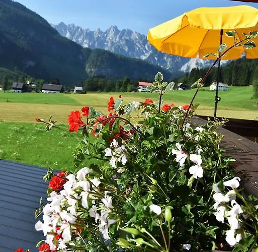 Guest house Fruhstuckspension Pachler 2*