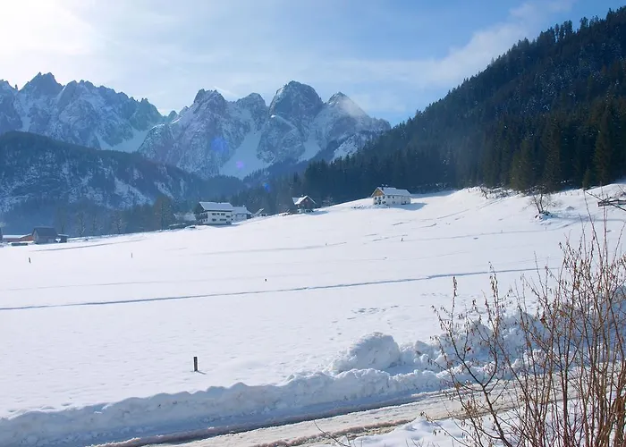 Fruhstuckspension Pachler Guest house Gosau