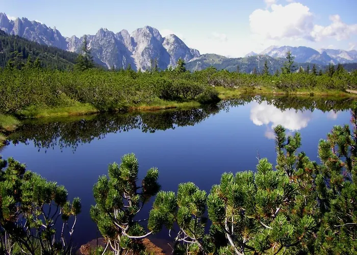 Fruhstuckspension Pachler 2*