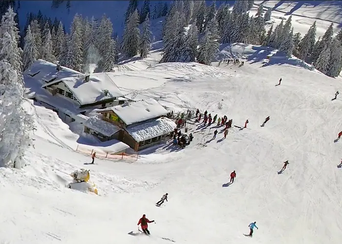 Fruhstuckspension Pachler Guest house Gosau