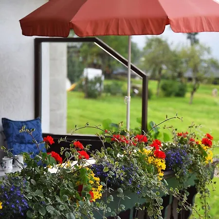 Fruehstueckspension Pachler Gosau